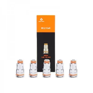GEEKVAPE - Coil serie B 0,2Ω/ 0,3Ω/ 0,4Ω/ 0,6Ω/1,2Ω (5PEZZI)